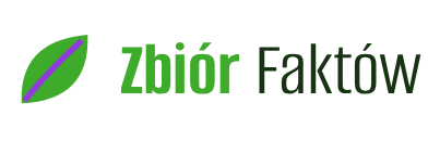 Zbiór Faktów